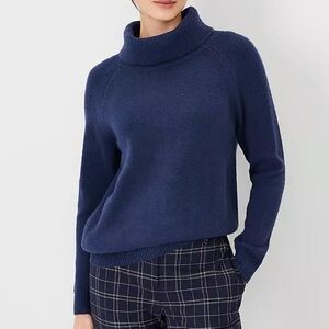 Ann Taylor Turtleneck Sweater